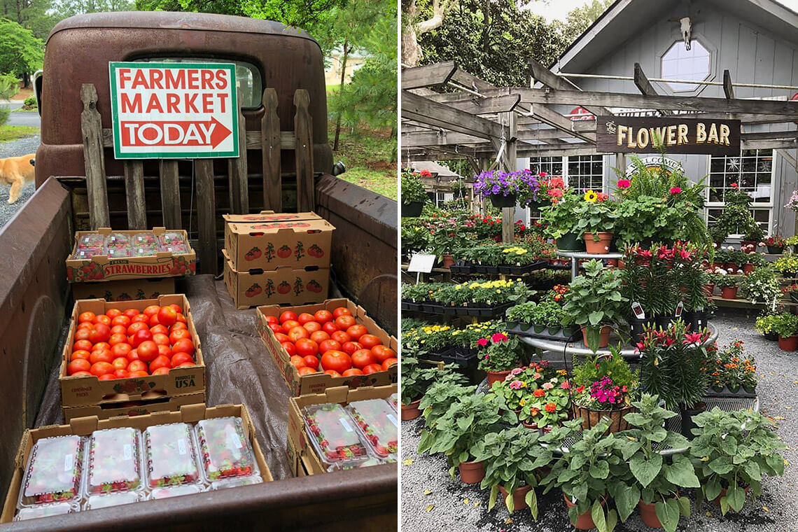 Tomatoes and strawberries in bed of a pickup truck and flowers for sale at Gulley's Garden Center
