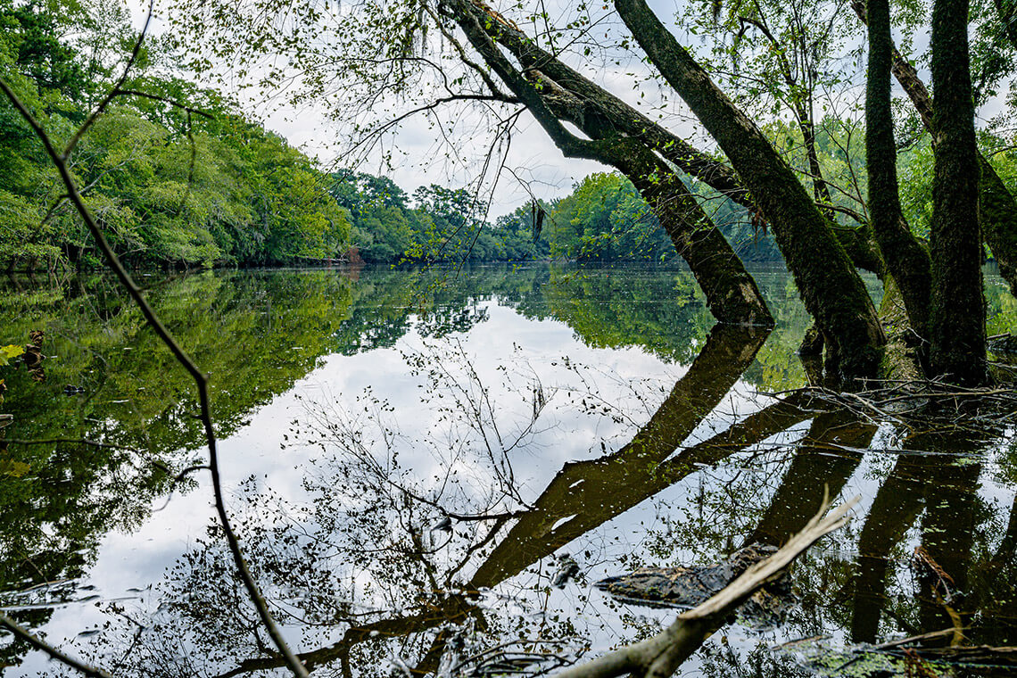 River Park North in Greenville