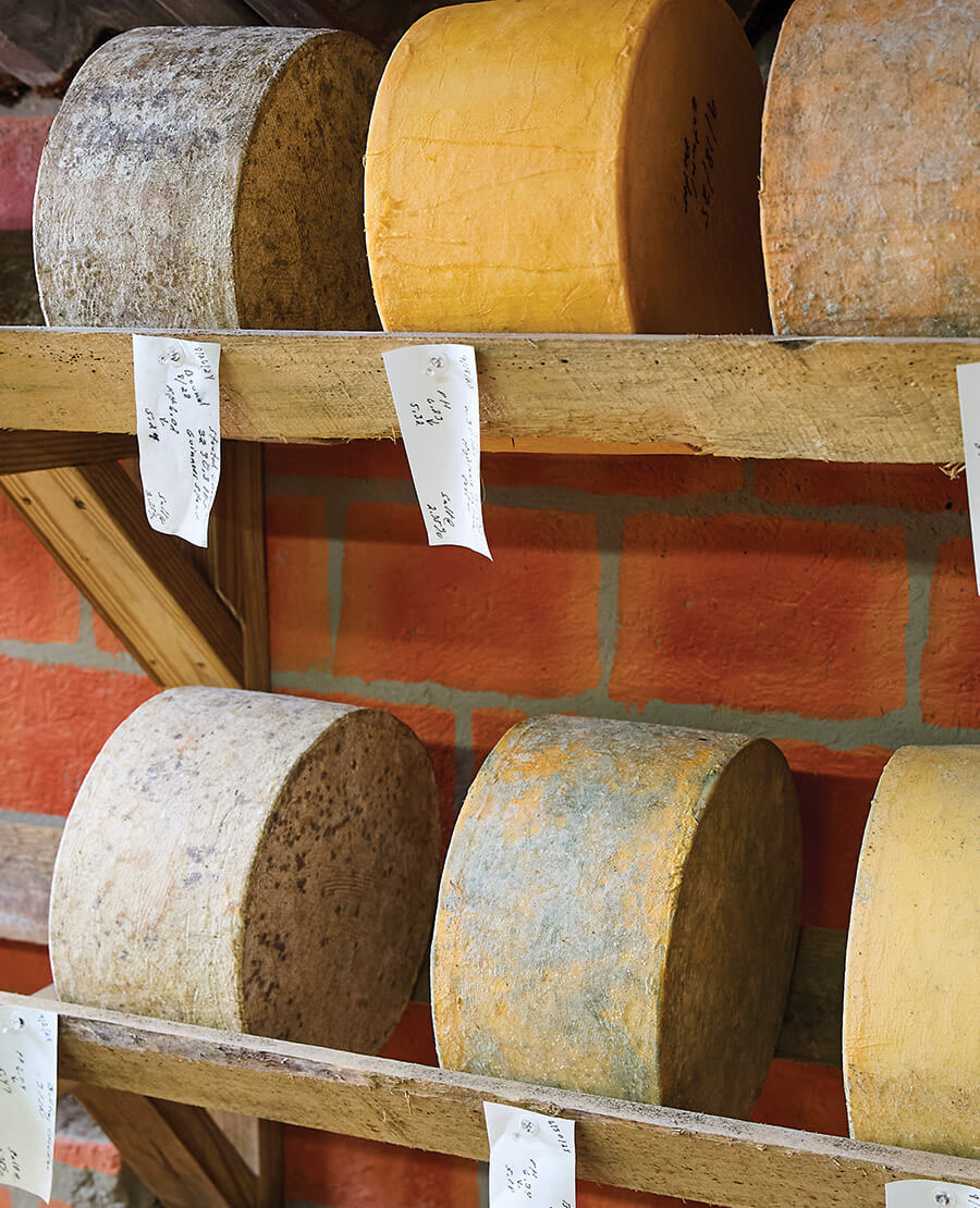 Cheeses at Blue Ridge Mountain Creamery
