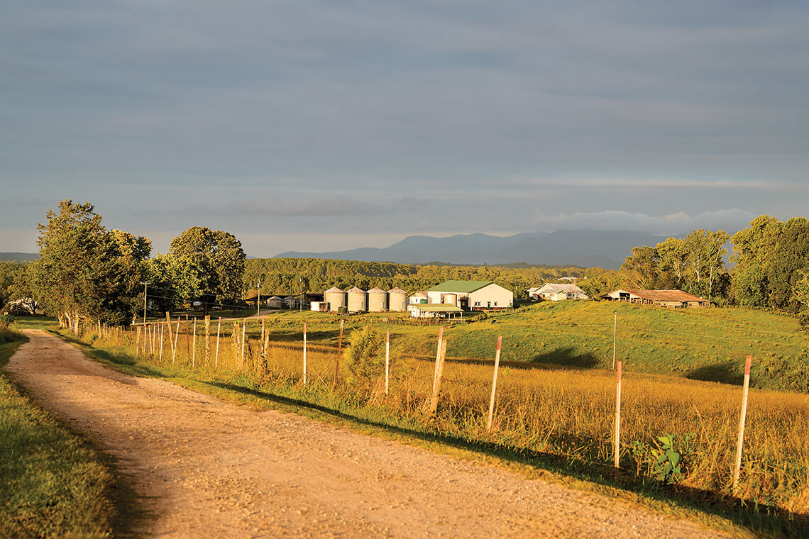 Looking Glass Creamery