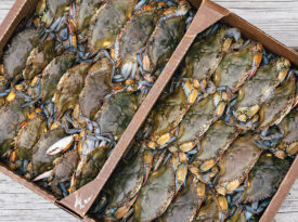 Flat of soft shell crabs