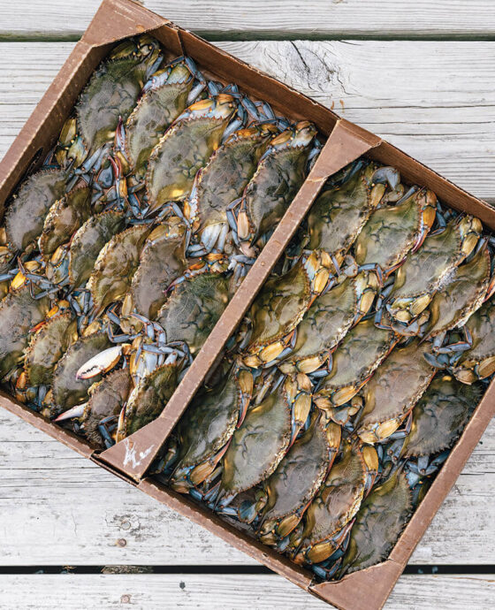 Flat of soft shell crabs