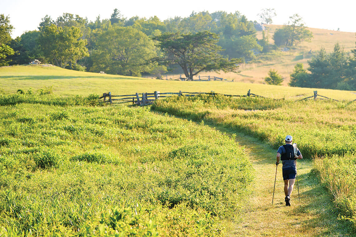 Hiking trails at Doughton Park