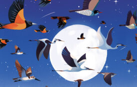 Illustration of birds in flight under a full moon