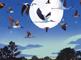 Illustration of birds in flight under a full moon
