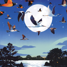 Illustration of birds in flight under a full moon