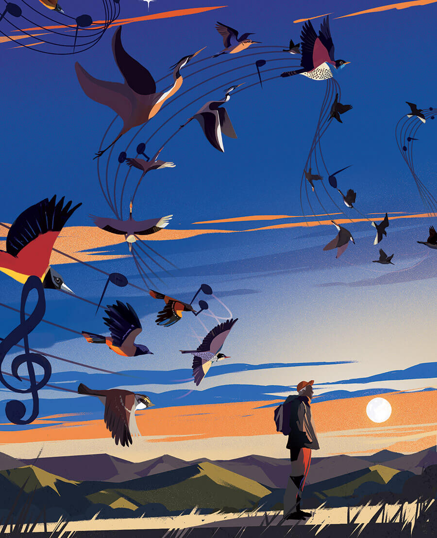 Illustration of birds flying at night