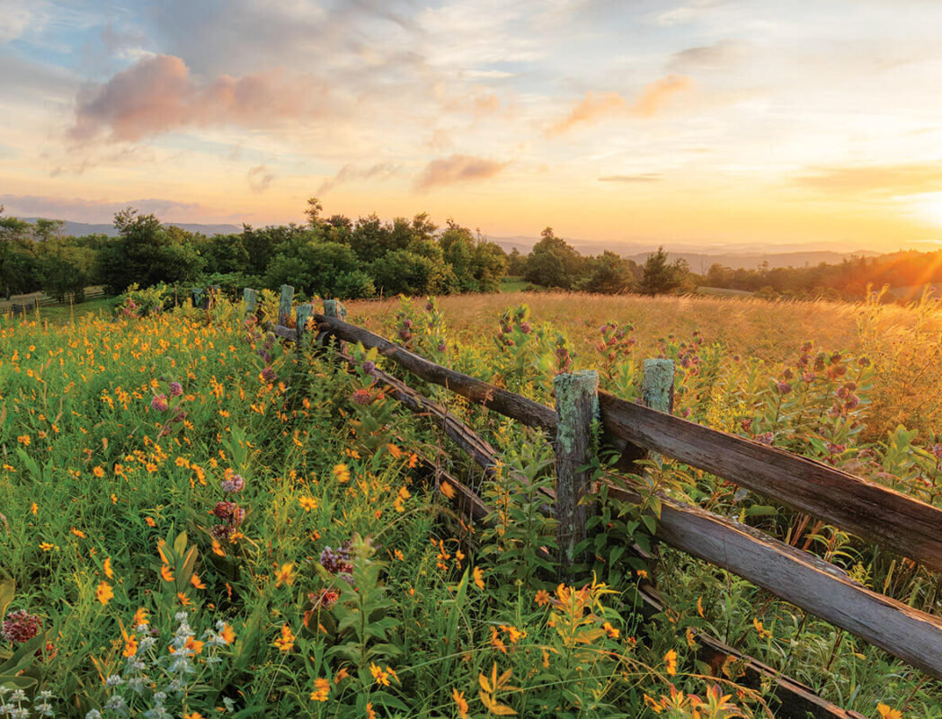 Split rail fence along the Blue Ridge Parkway