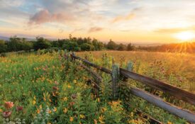 Split rail fence along the Blue Ridge Parkway