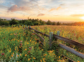 Split rail fence along the Blue Ridge Parkway