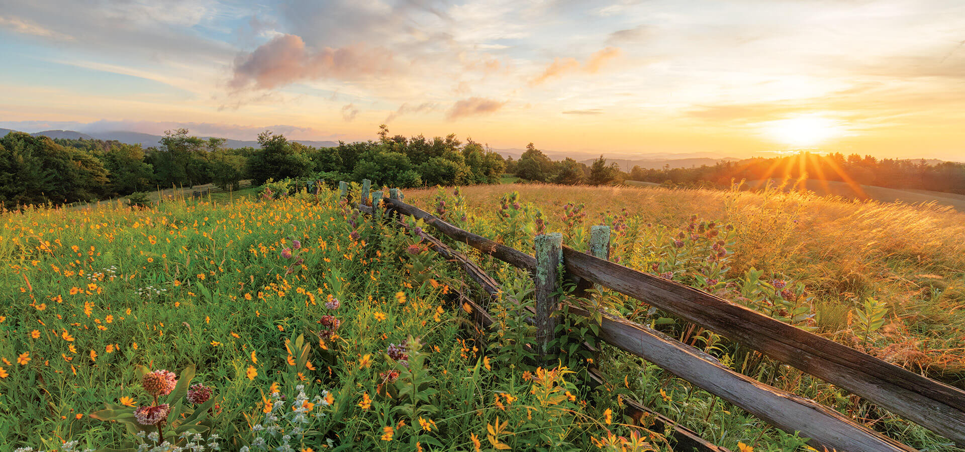 Split rail fence along the Blue Ridge Parkway