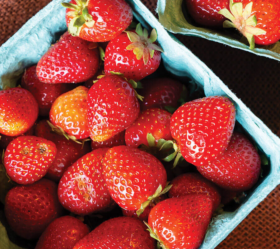 Pints of strawberries from The Ten Acre Garden