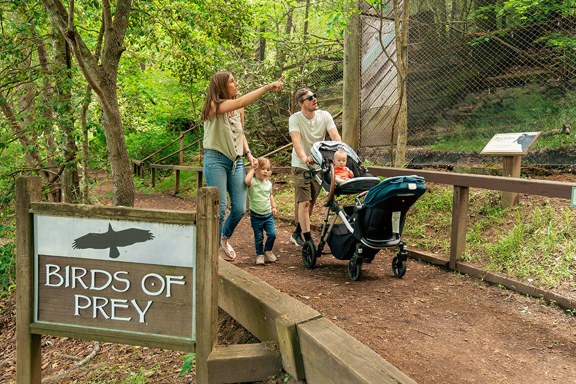 Family visits birds of prey at the Western North Carolina Nature Center