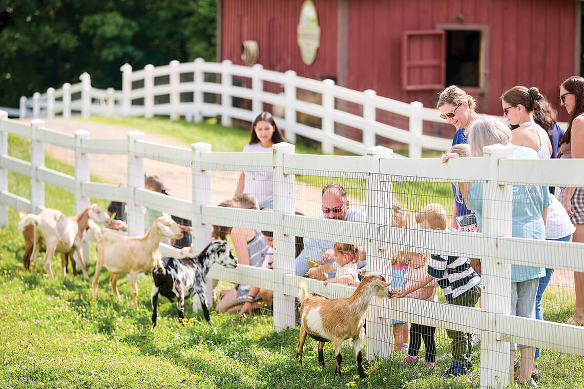 Visitors greet goats at Winchester Creek Farm