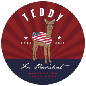 Teddy for President button