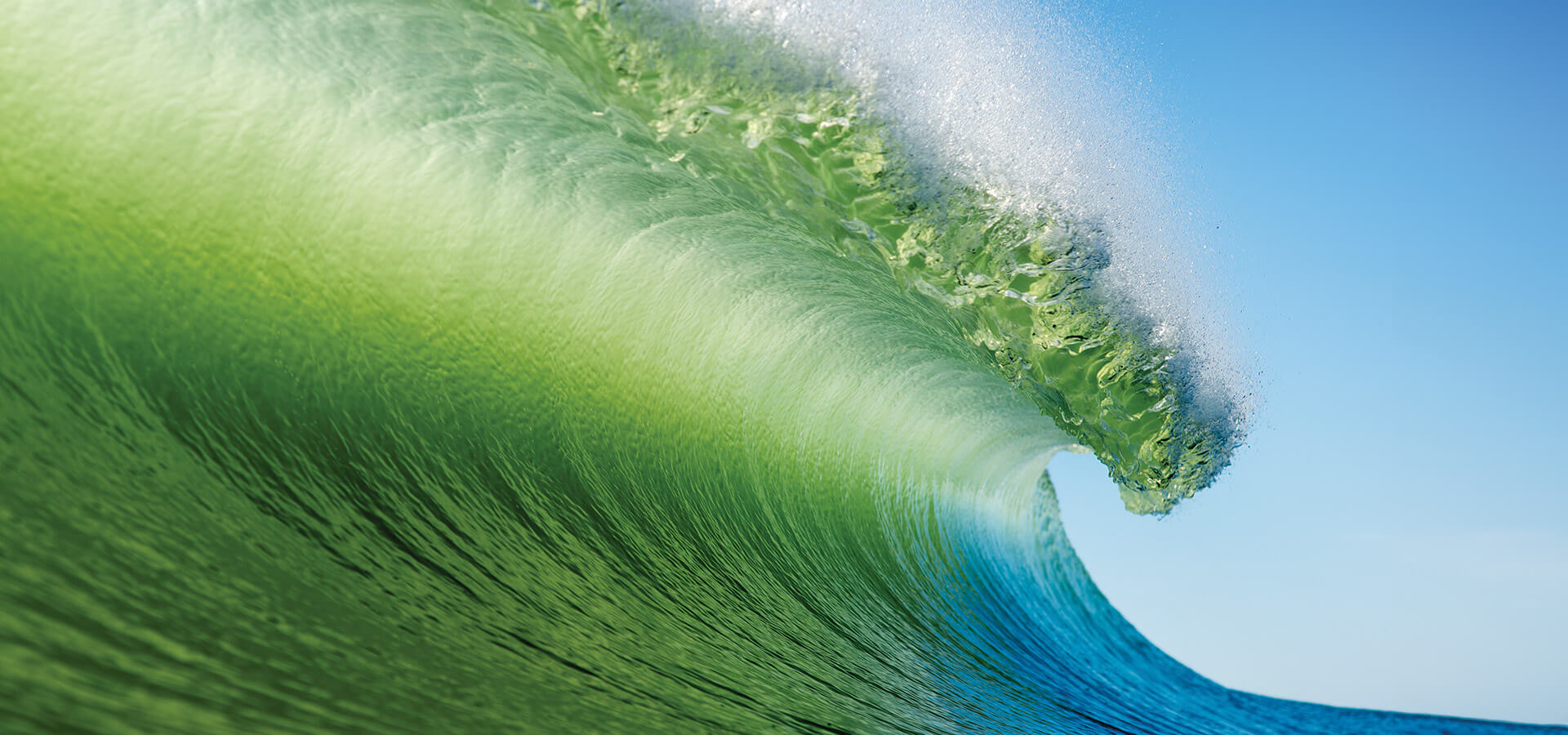 Wave