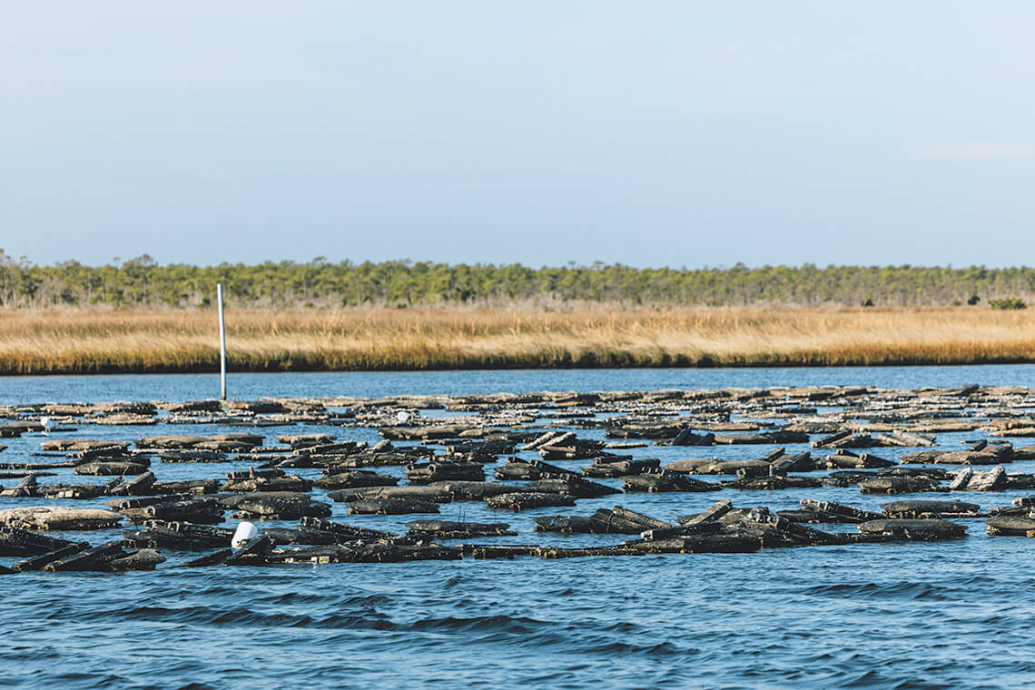 Oyster cages in the Pamlico Sound