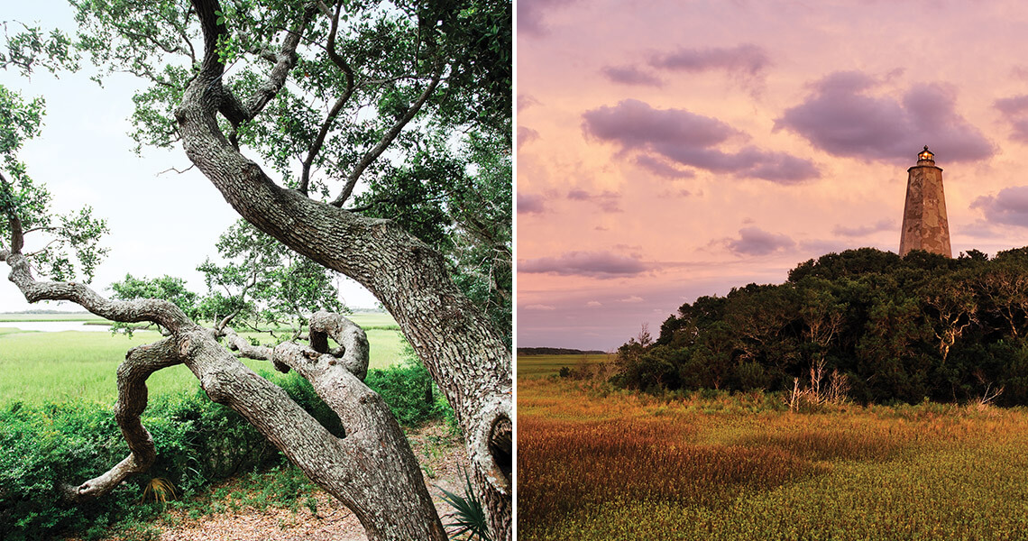 Live oak tree and Bald Head Island Lighthouse