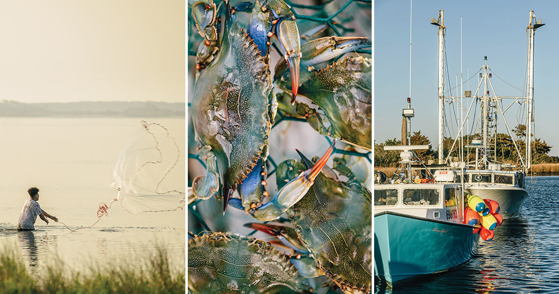 Person throws fishing net into the water. Blue Crab and commercial fishing boats.
