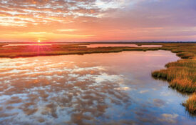 Salt marsh at sunset