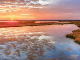 Salt marsh at sunset