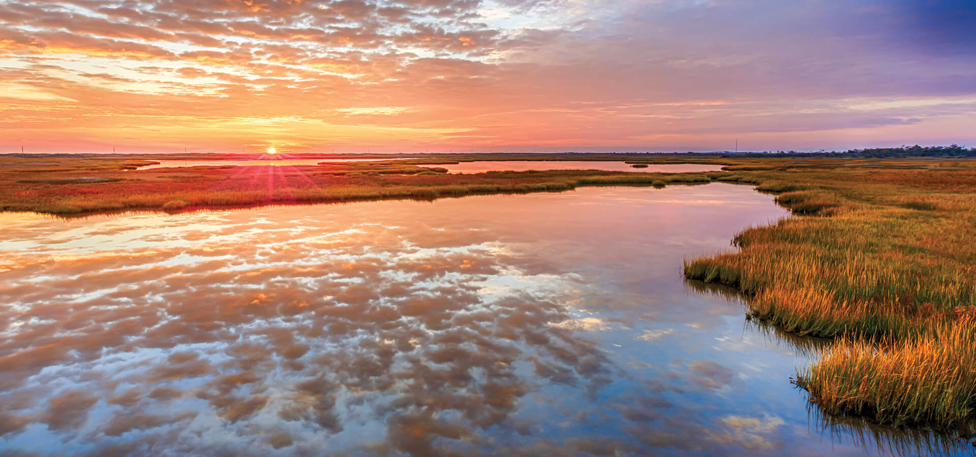 Salt marsh at sunset