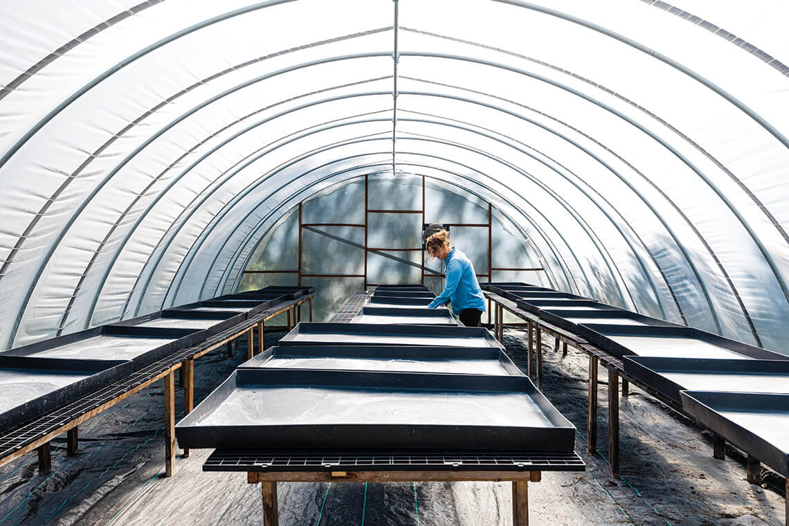 Jeanette Philips in the salt house