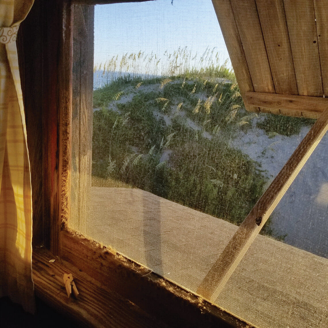 View of sand dunes from the beach cottage window
