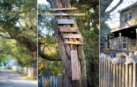 Live oak tree, muticolored signs, and exterior of the Village Craftsmen on Ocracoke