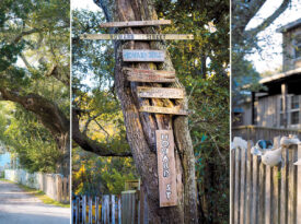 Live oak tree, muticolored signs, and exterior of the Village Craftsmen on Ocracoke