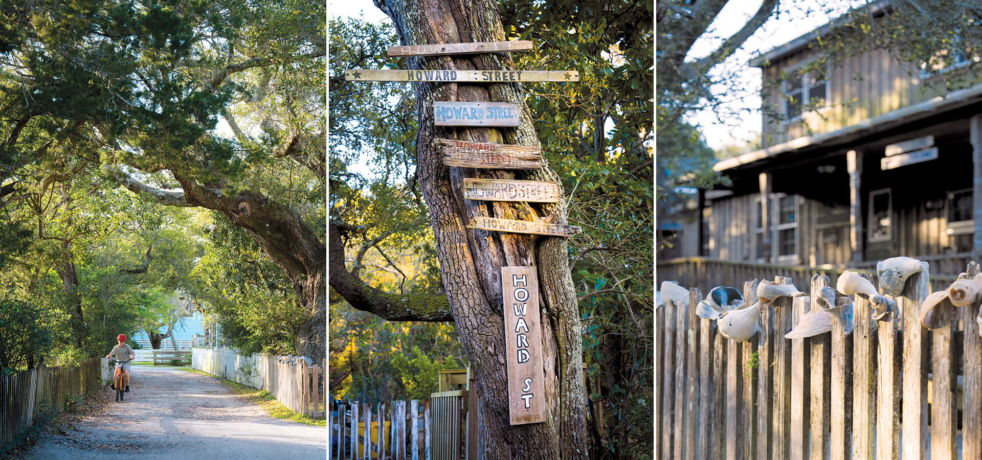 Live oak tree, muticolored signs, and exterior of the Village Craftsmen on Ocracoke