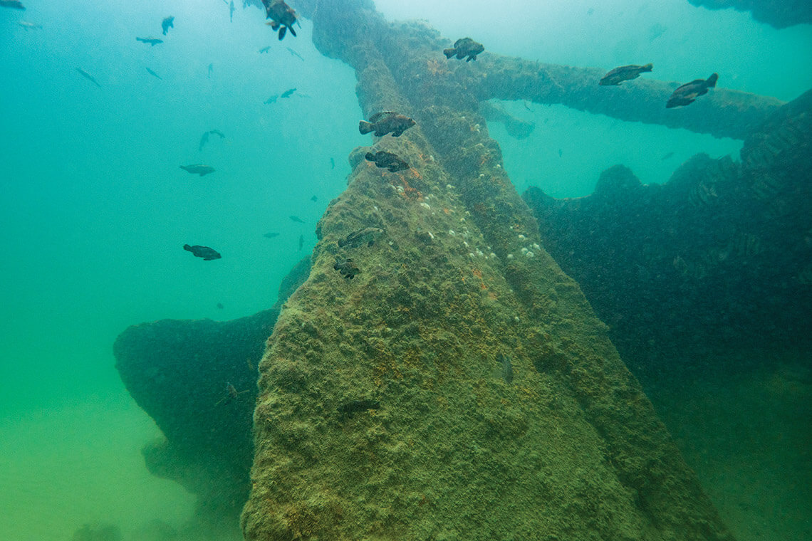 Wreckage of the Huron