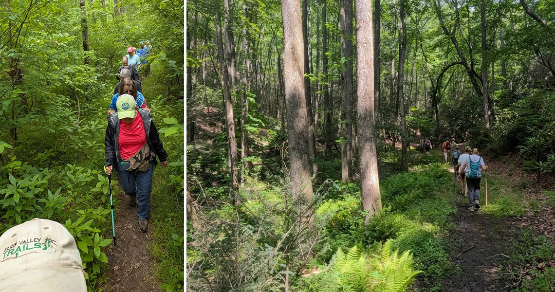 People on a guided hike
