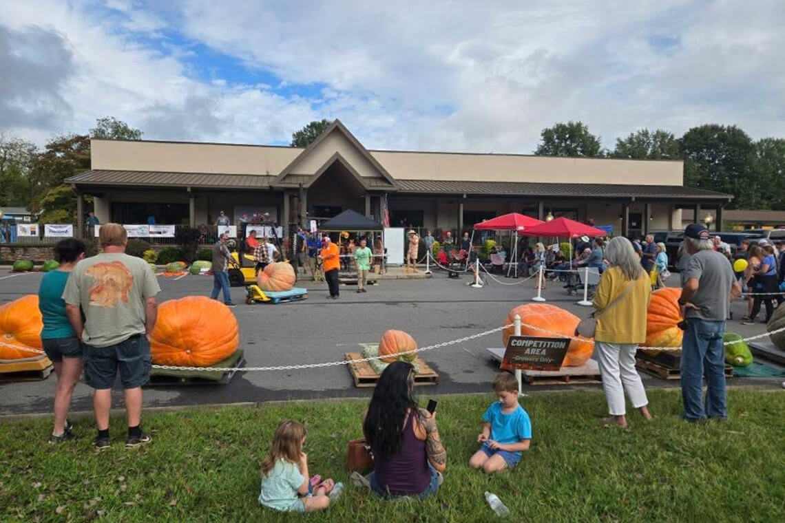 People attend the Great Pumpkin Weigh-Off in Elkin
