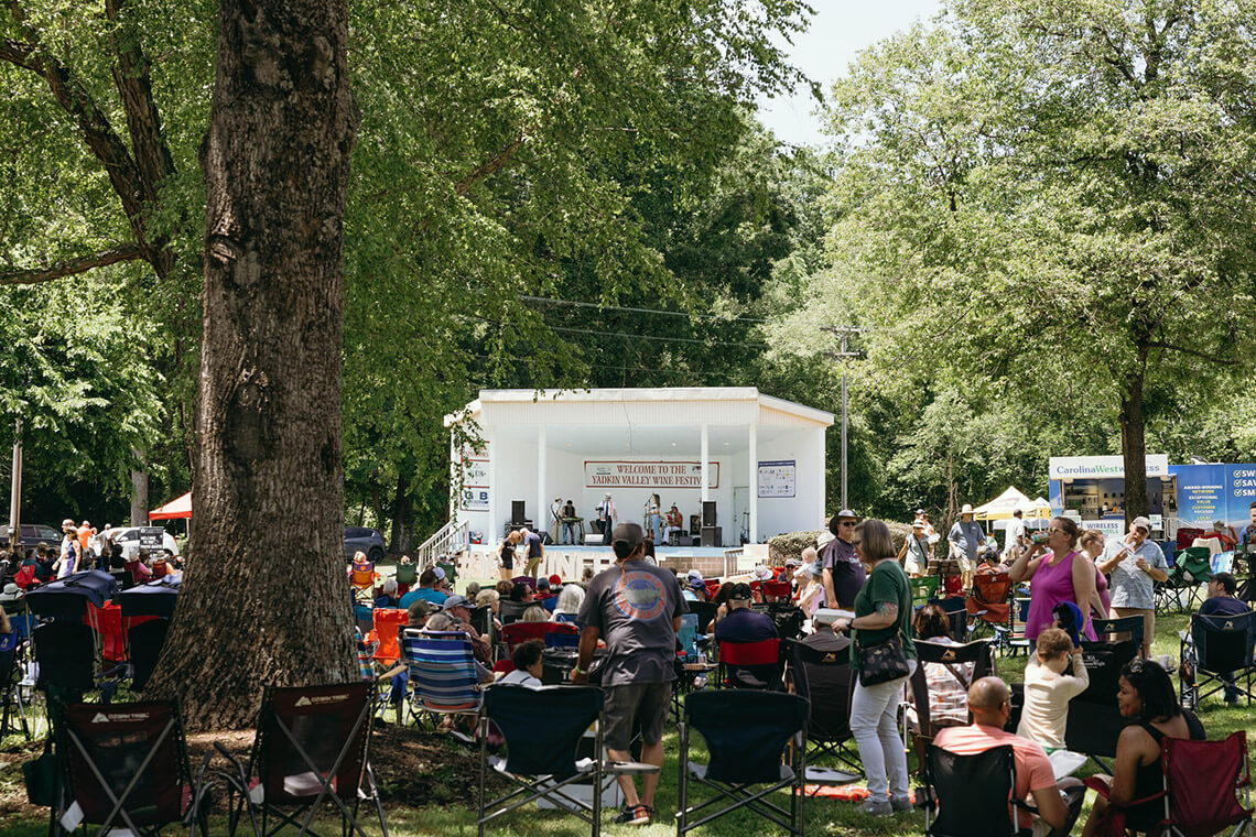 Musicians at the Yadkin Valley Wine Festival