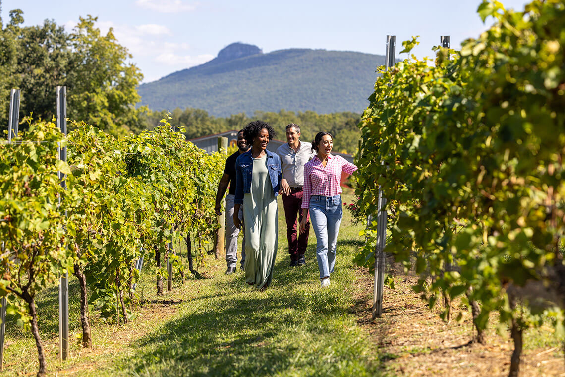 Visitors stroll through the vineyard at JOLO Winery and Vineyards