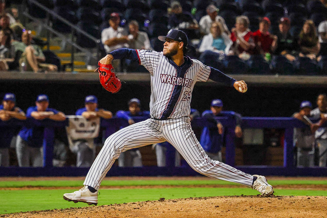 Wilson Warbirds pitcher