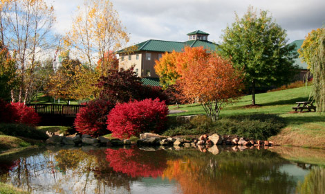 View of Shelton Vineyards with pond