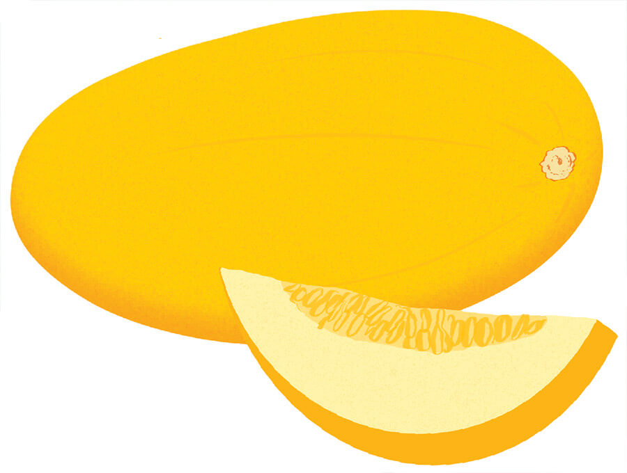Illustration of a canary melon
