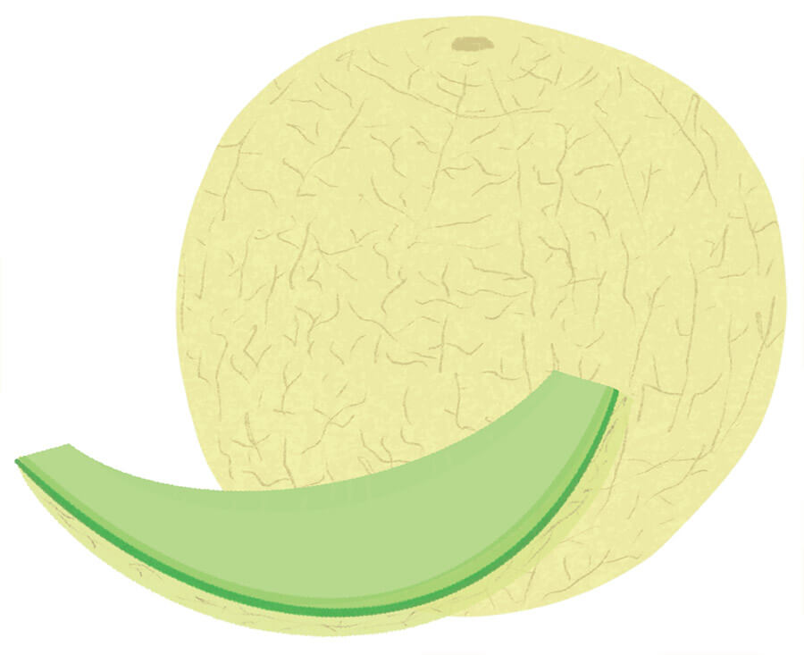 Illustration of a honeydew