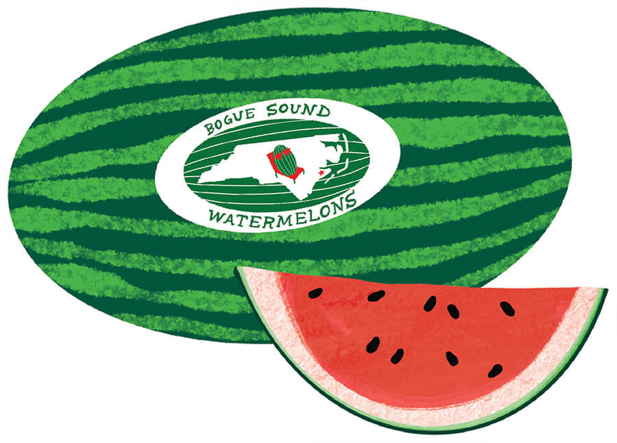 Illustration of a watermelon