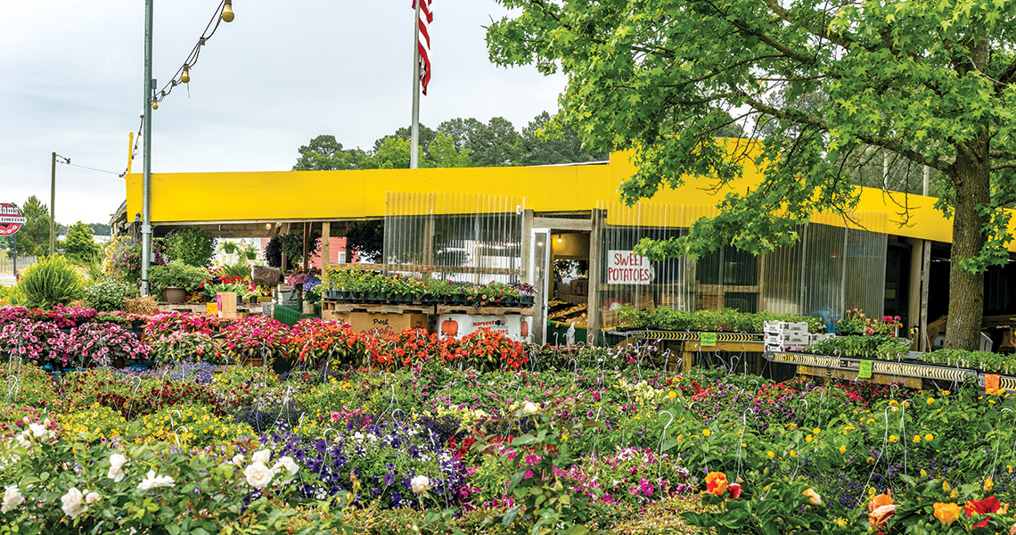 Country Fruit Stand No. 2