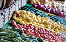 Bins of squash and zucchini at Country Fruit Stand No. 2