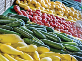 Bins of squash and zucchini at Country Fruit Stand No. 2