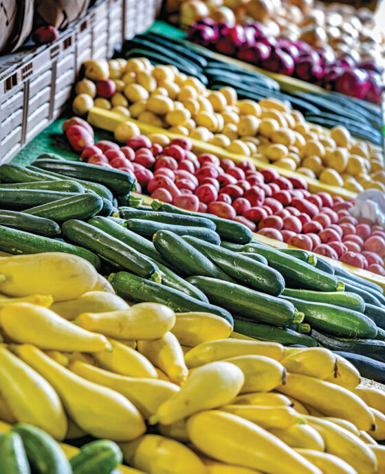 Bins of squash and zucchini at Country Fruit Stand No. 2