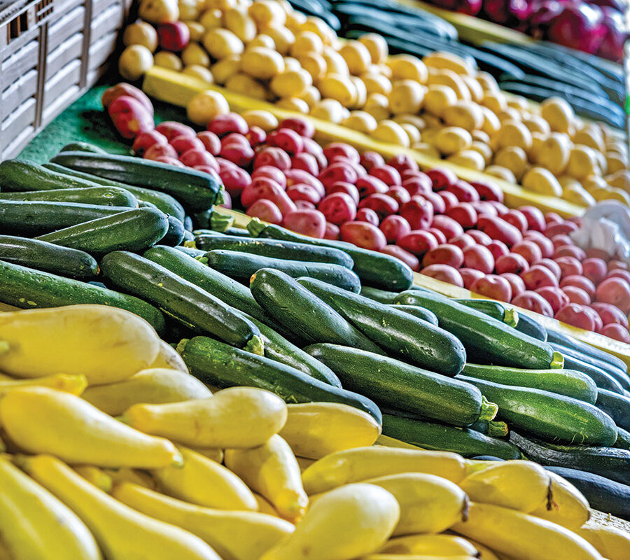 Bins of squash and zucchini at Country Fruit Stand No. 2