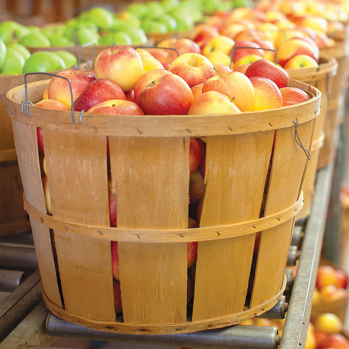 Basket of apples
