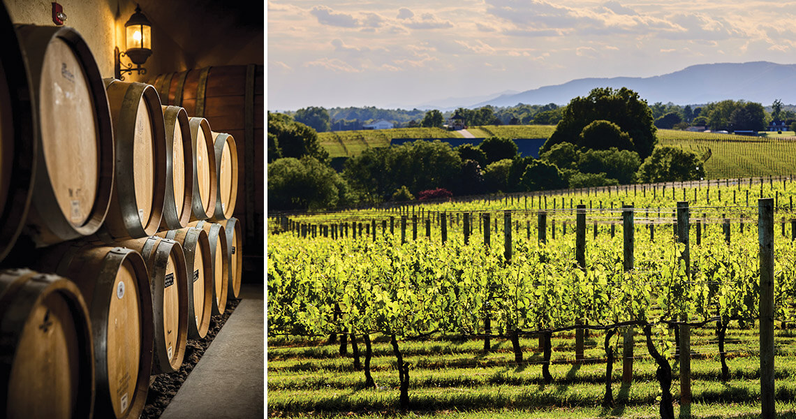 Wine barrels and vineyard at Shelton Vineyards