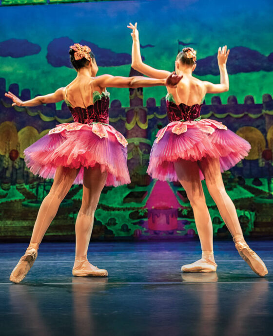 Ballerinas