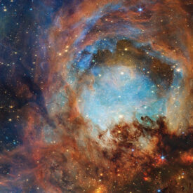 The cosmos